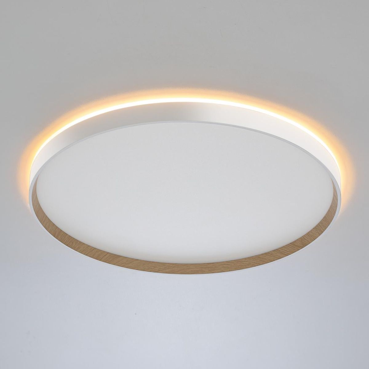 Накладной светильник Citilux Etalon CL750500R