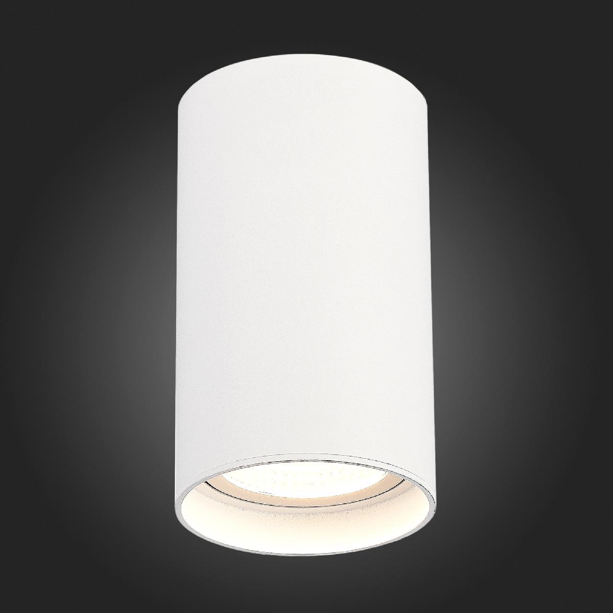 Накладной светильник ST Luce ST157.542.20