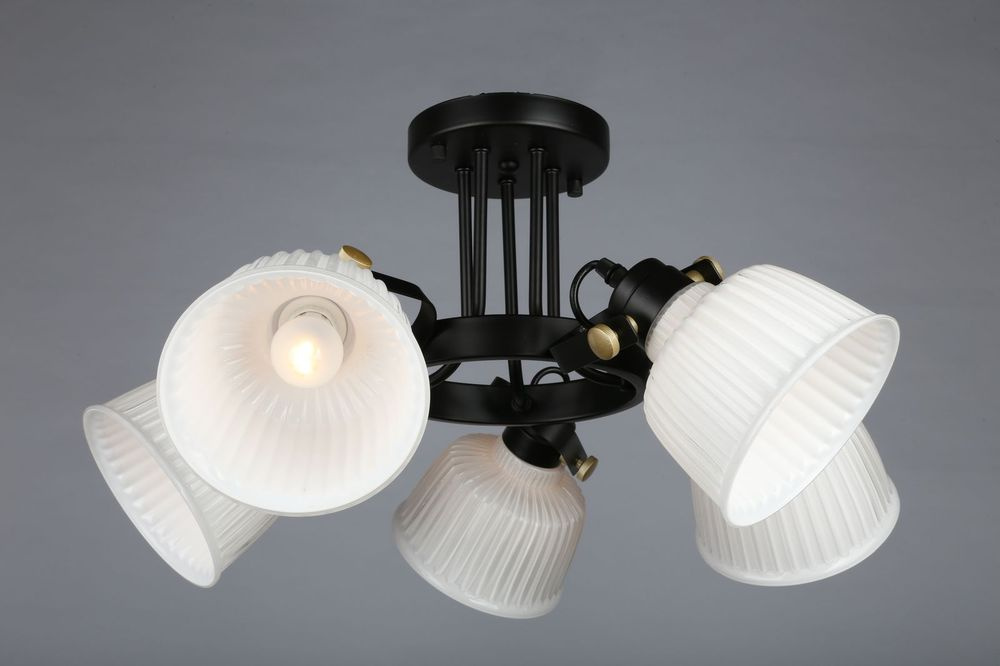 Потолочная люстра Omnilux OML-28207-05