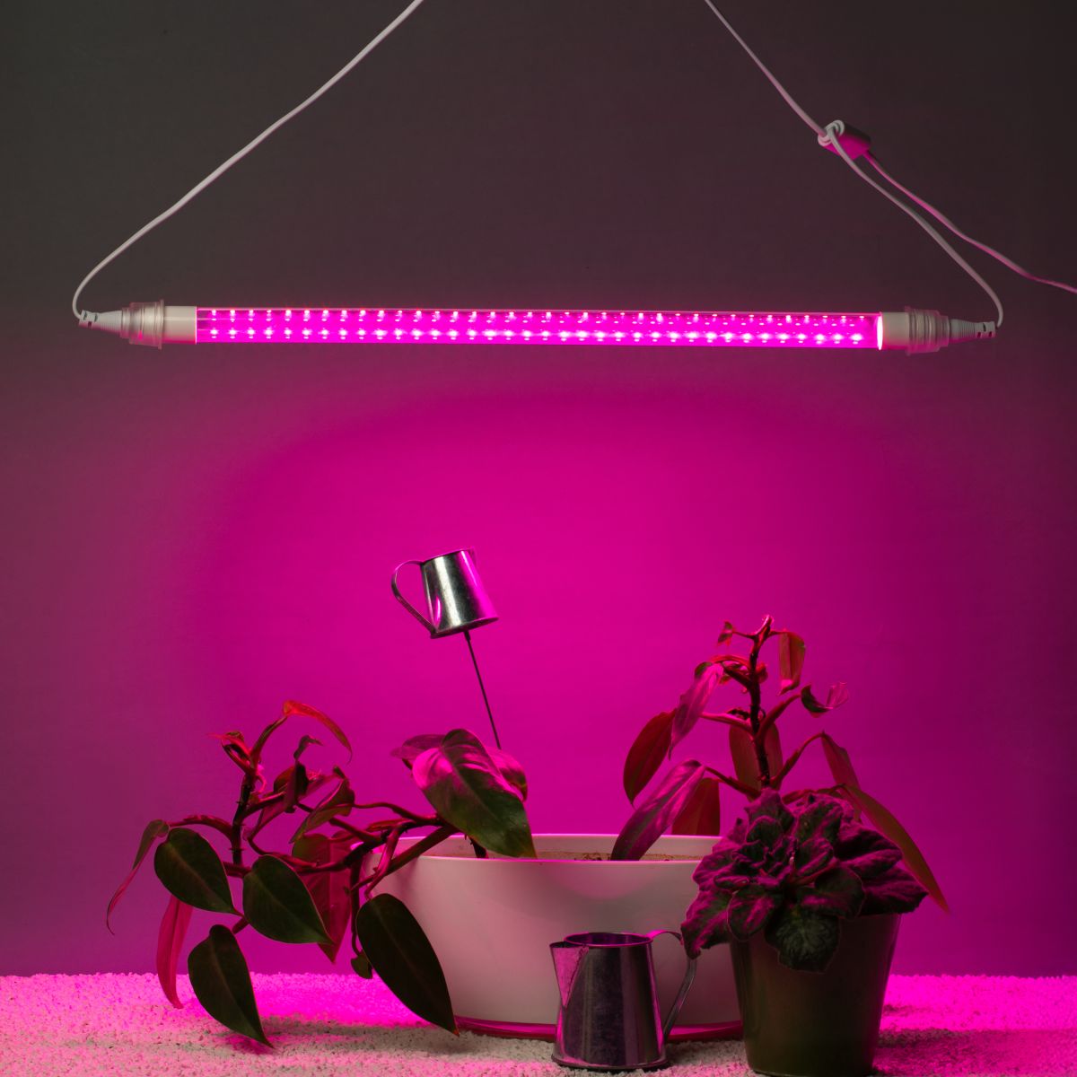 Линейный светильник для растений Эра FITO-9W-Rb-Т8+holderG13 Б0069515