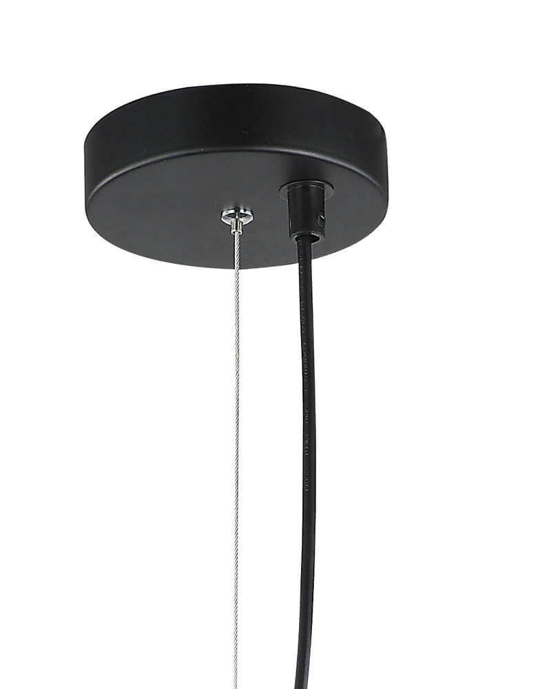 Подвесной светильник Lumien Hall Лассе 4030/1P-BK-AB