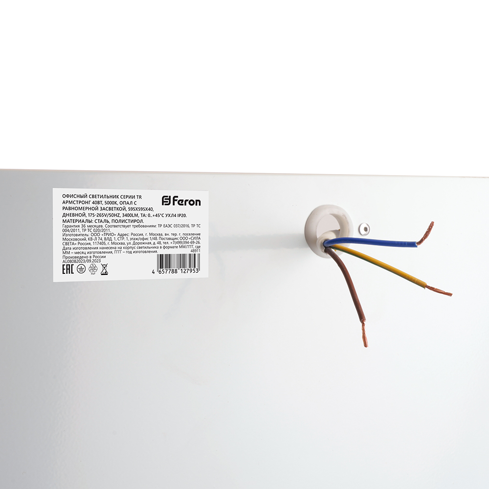 Потолочный светильник Feron TR Армстронг 48911