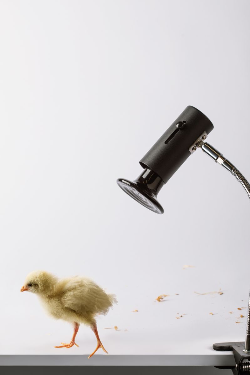 Светильник для рептилий Эра FITO-E27-FLEX-CLIP Б0053287