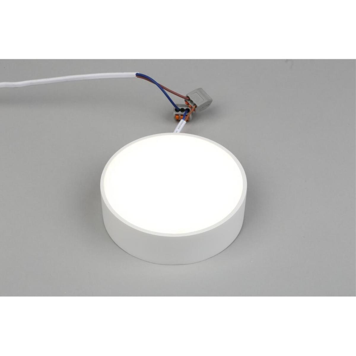 Потолочный светильник Aployt Evon APL.0114.09.12