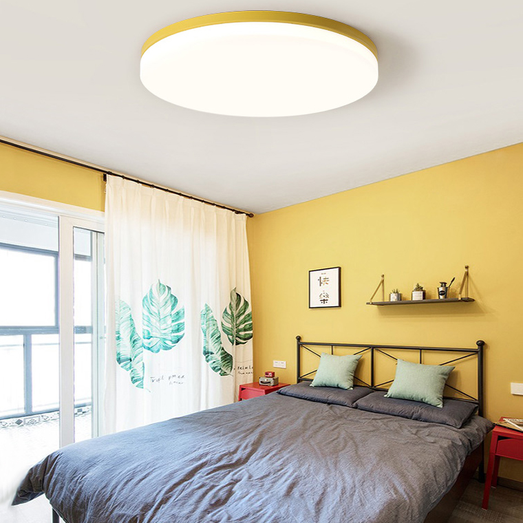 Потолочный cветильник ImperiumLoft Disc 193126-26