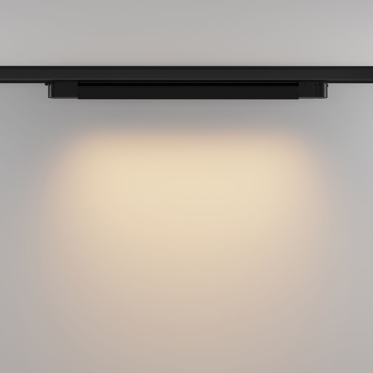 Трековый трехфазный светильник Maytoni Basis TR196-3-20W2.7K-B