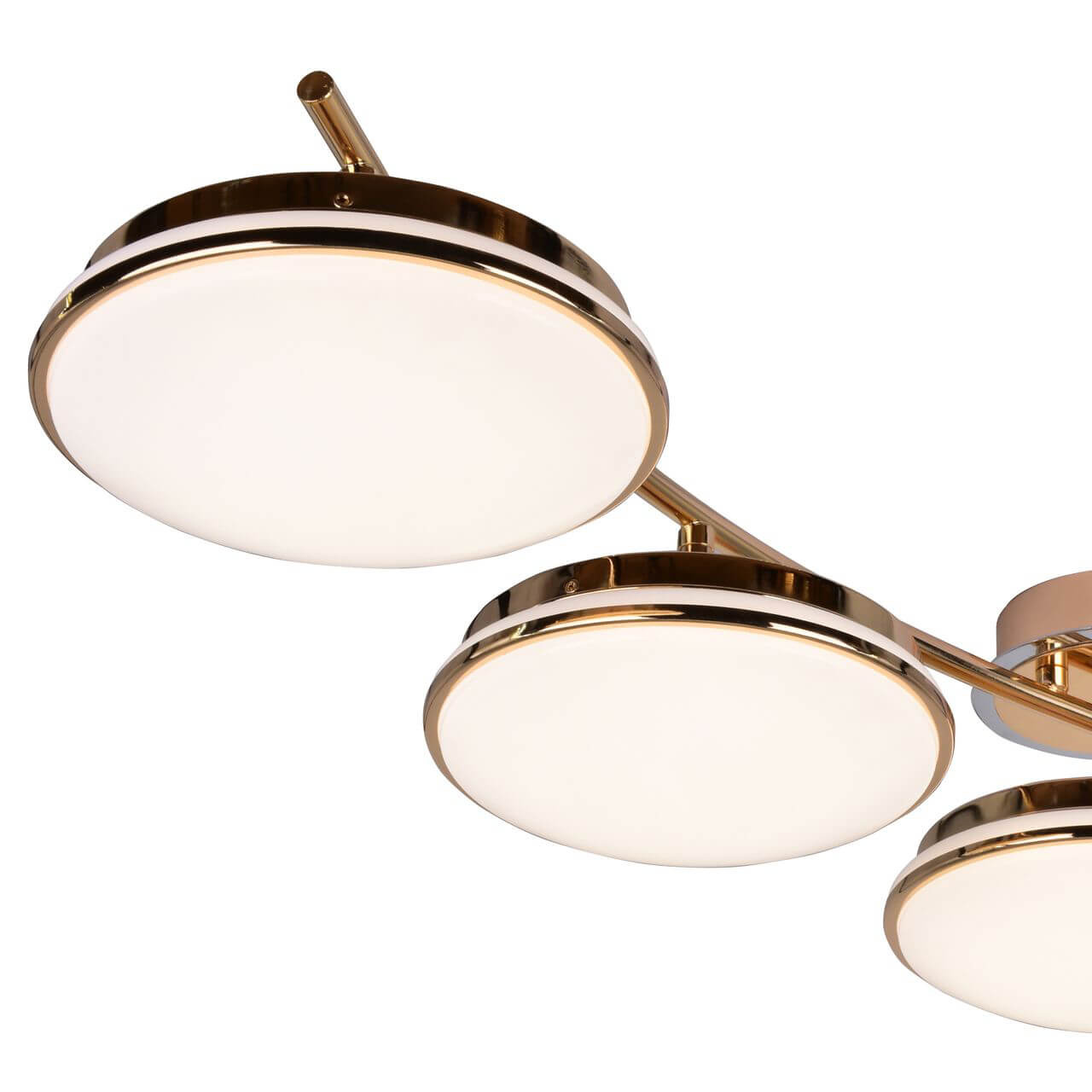 Потолочная светодиодная люстра F-Promo Ledante 2477-5U