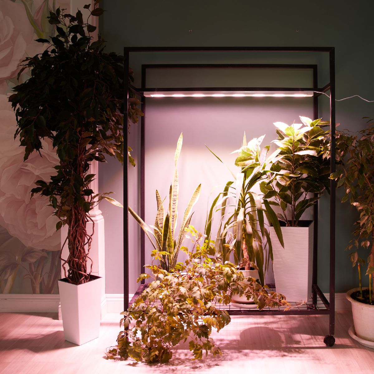 Светильник для растений Uniel ULT-P70B-100W/SPLE/L105 WHITE WINTERGARDEN UL-00011264