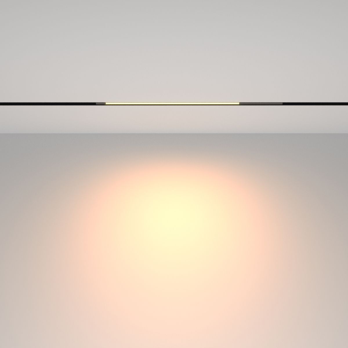 Трековый магнитный светильник Maytoni Technical Basis TR231-2-10W3K-B