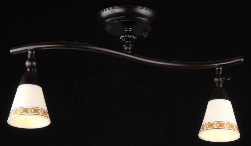 Спот Maytoni Spot 1 ECO001-02-R