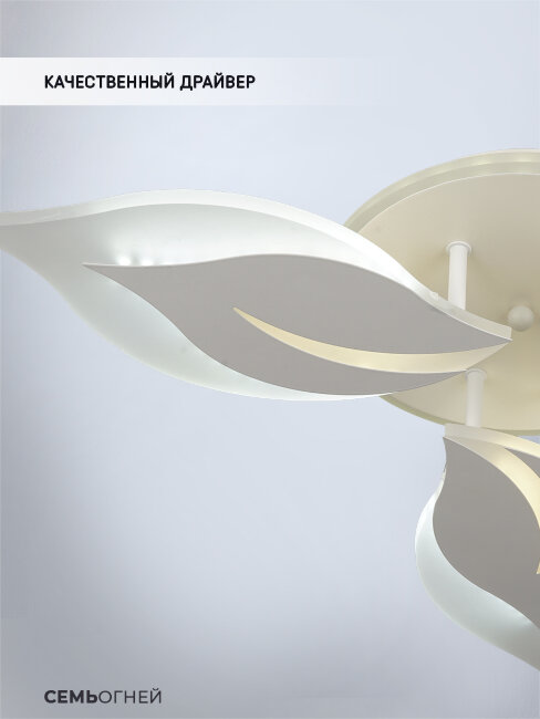 Потолочная люстра Wedo Light Omenya 75391.01.09.03