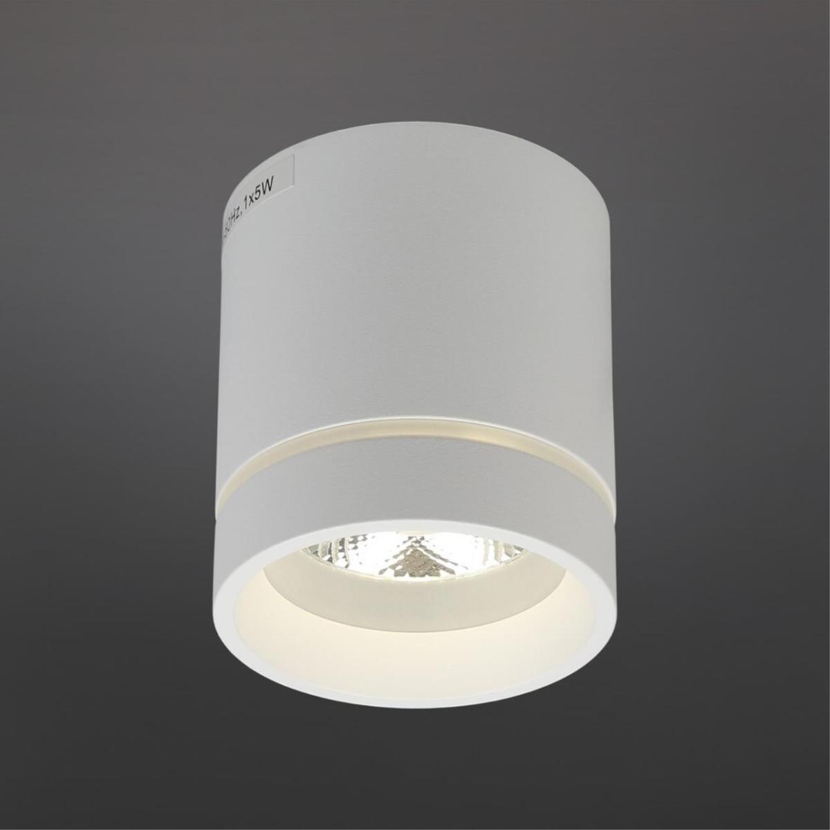 Потолочный светильник Aployt Gita APL.0044.09.05