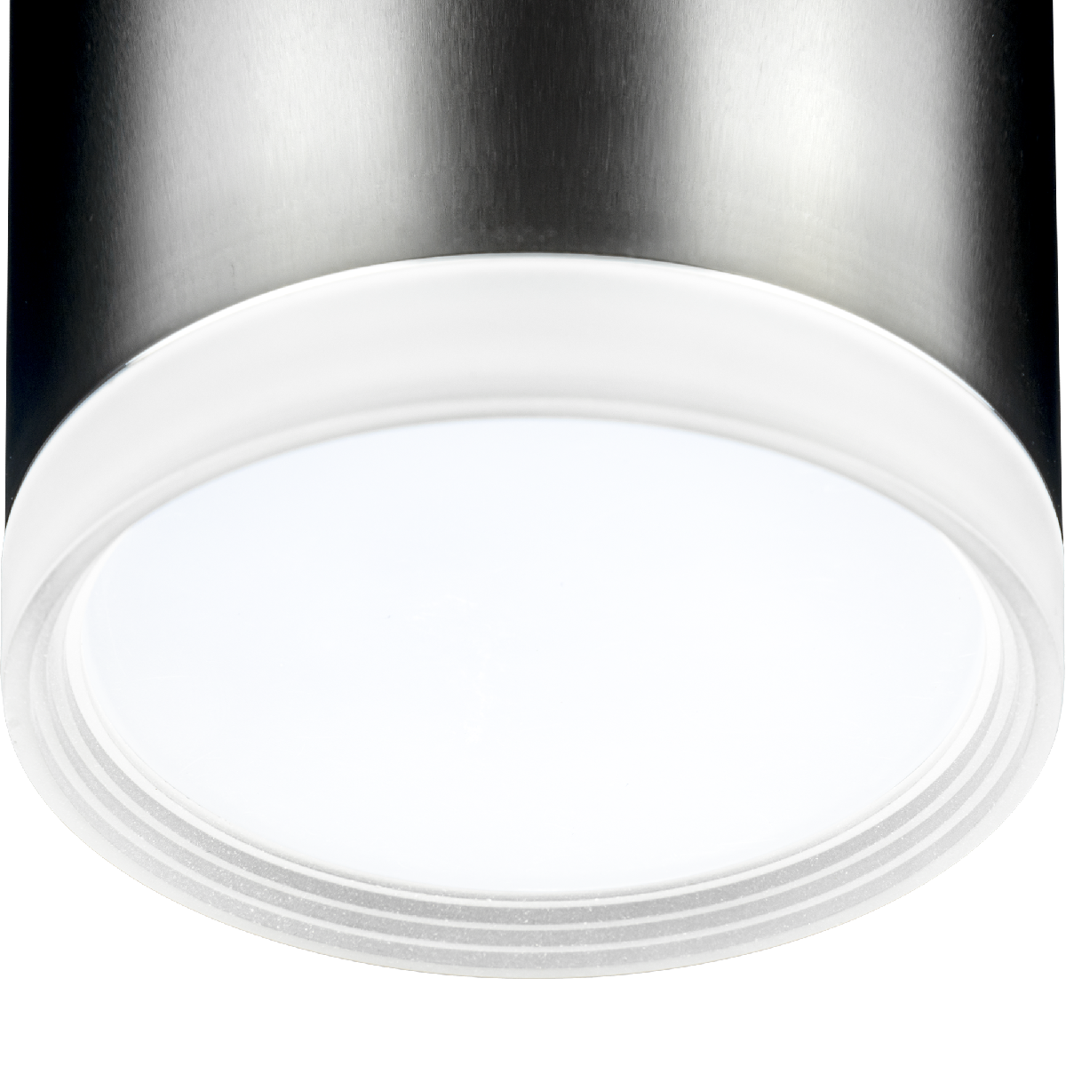 Накладной светильник Ritter Arton 59948 7