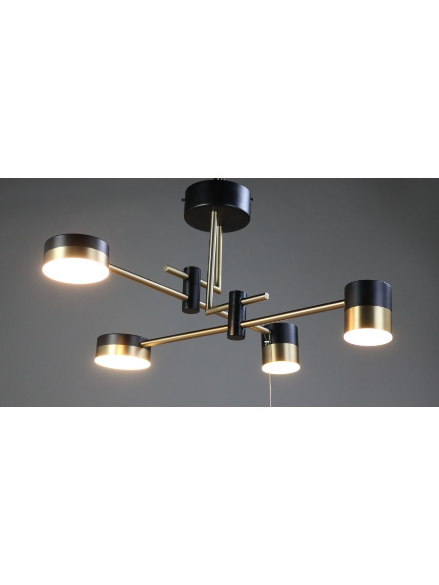 Люстра на штанге Zortes Lunar ZRS.1805.04