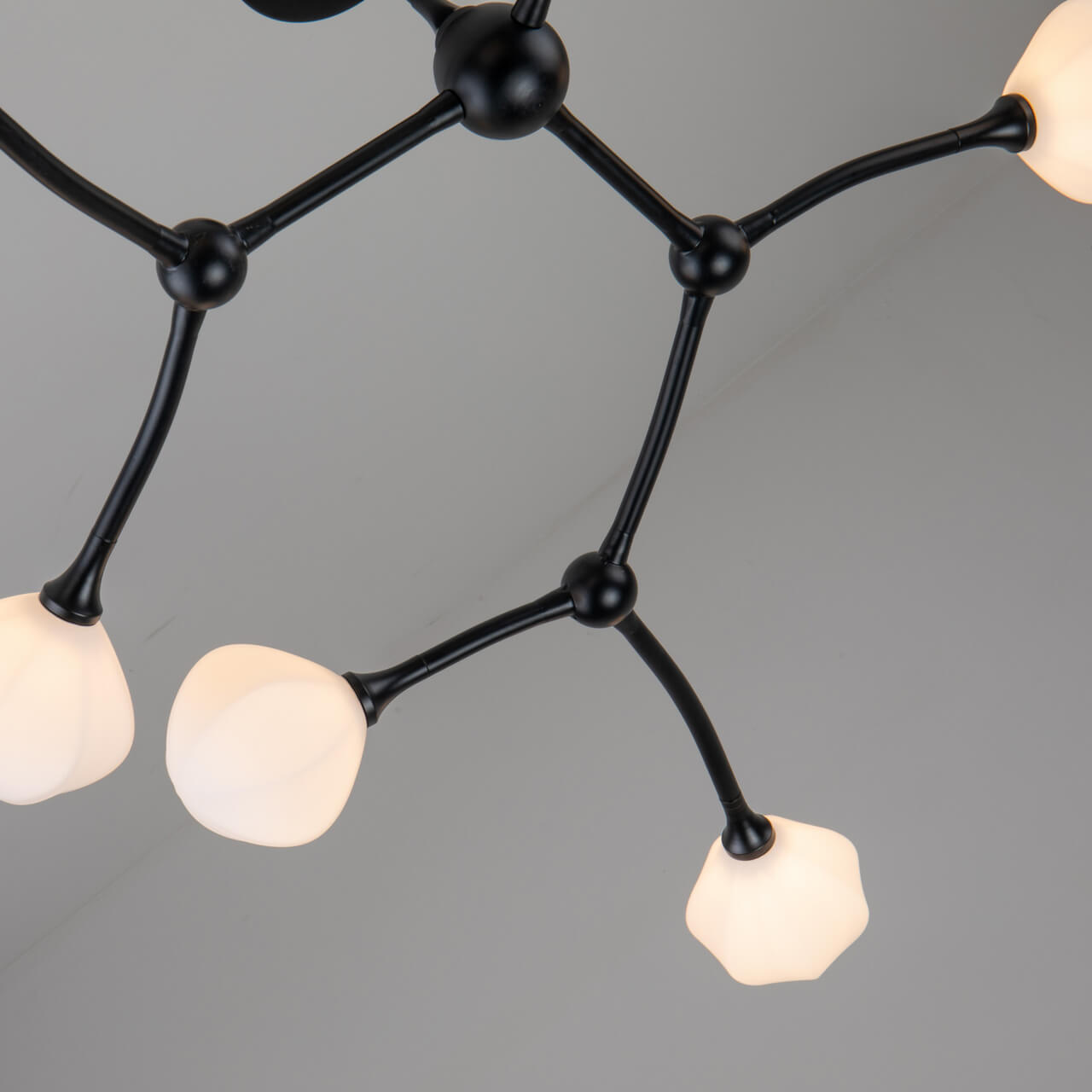 Потолочная люстра Favourite Suri 2688-9P