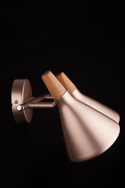 Спот Eurosvet Amadeo 70050/2 перламутровое золото