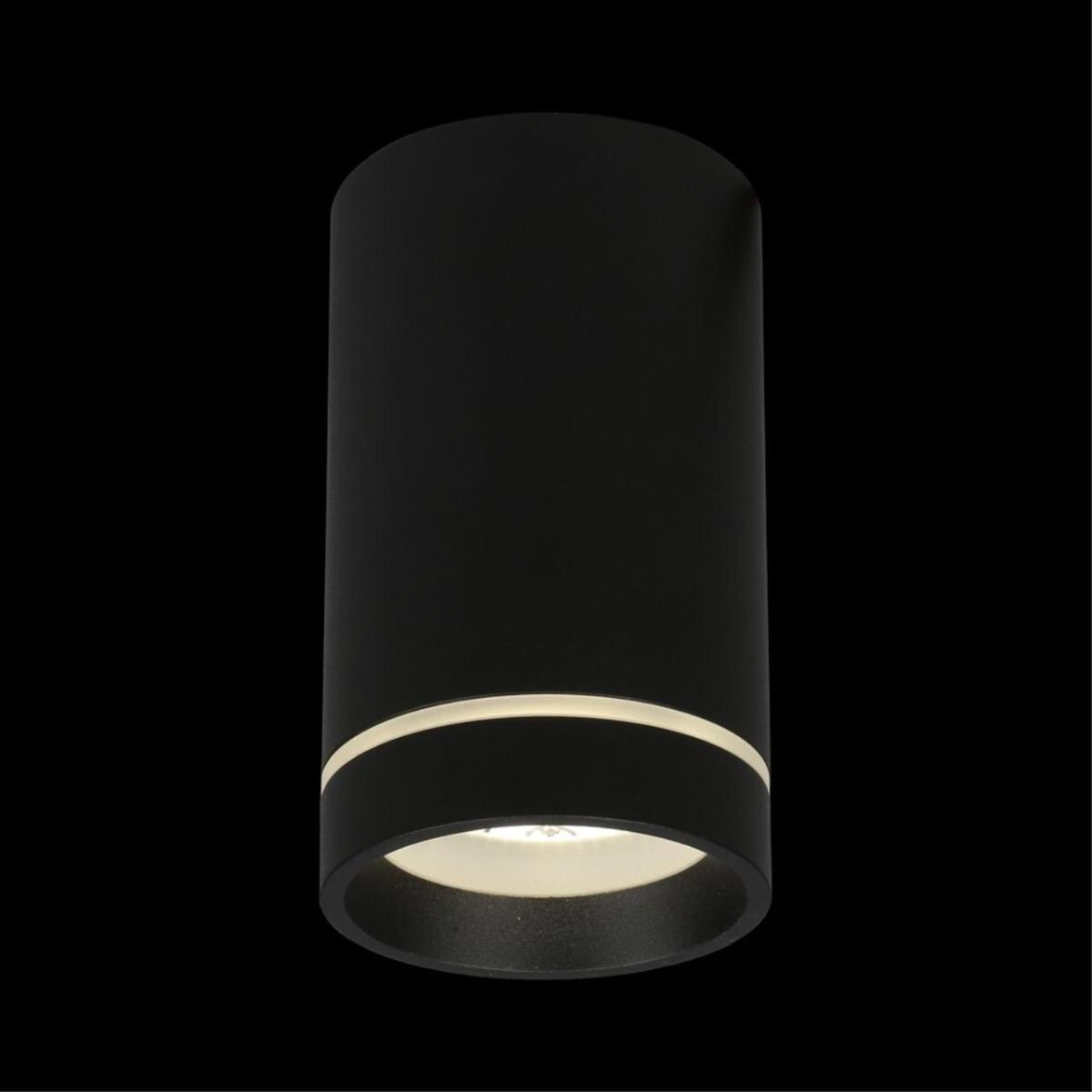 Потолочный светильник Aployt Edda APL.0054.19.10