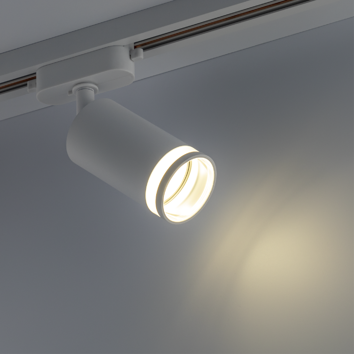 Трековый однофазный светильник Ritter Artline 59879 8