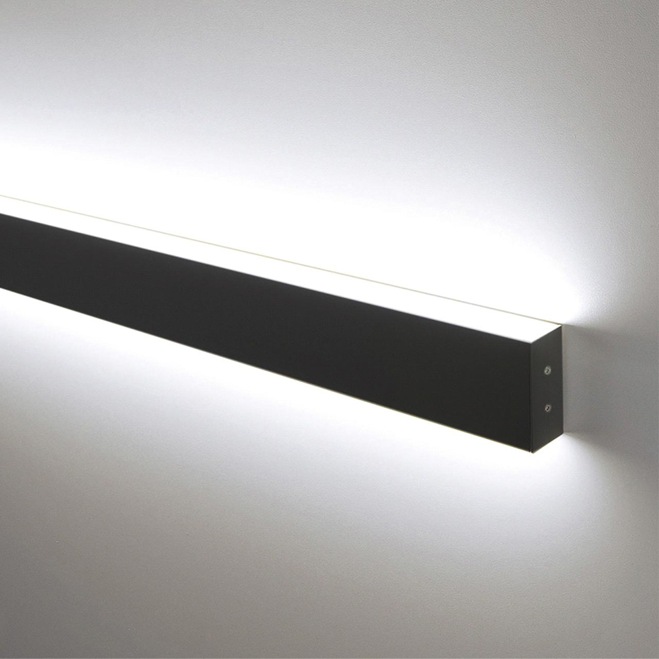 Настенный светодиодный светильник Elektrostandard LS-02-2-103-4200-MSh 4690389127564