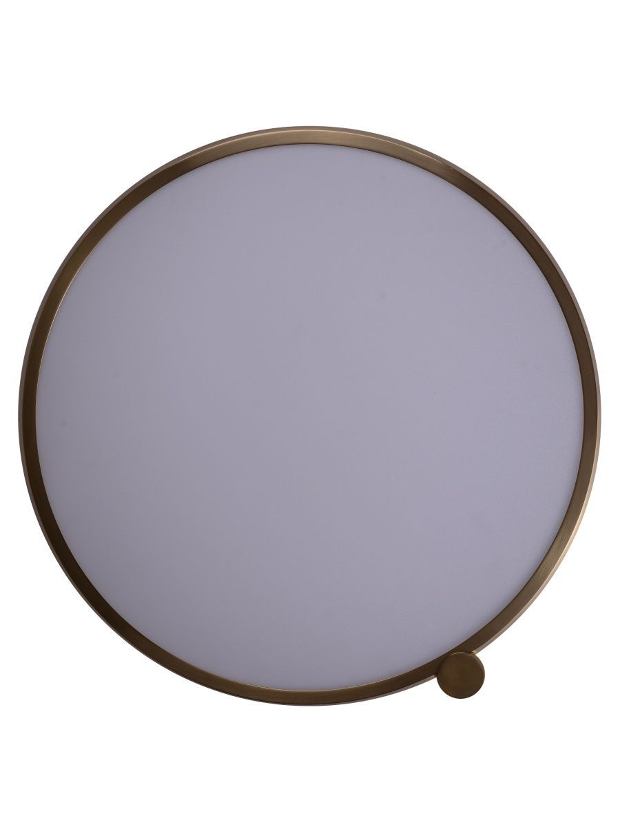 Потолочный светильник Zortes Gimpel ZRS.1209.17