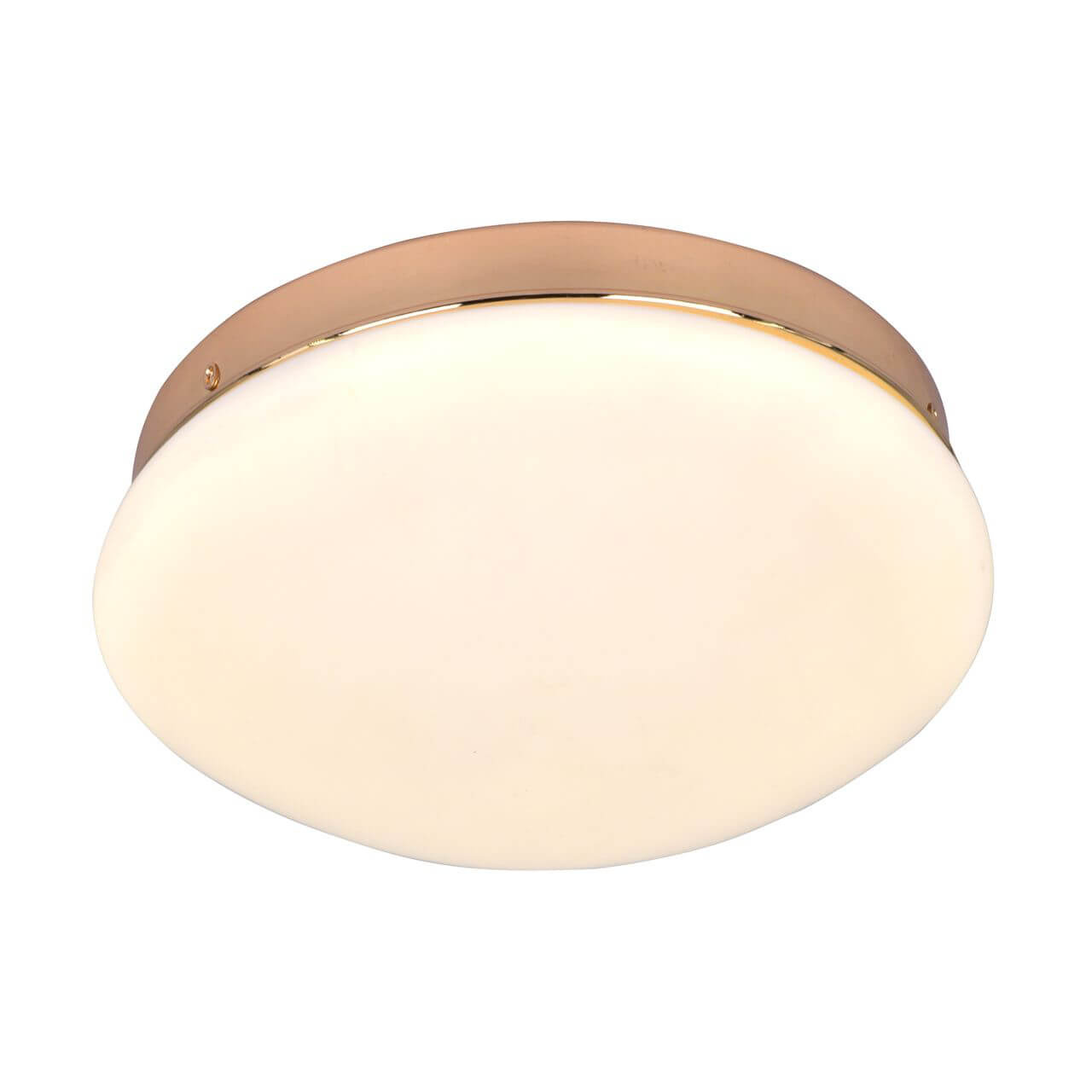 Потолочный светодиодный светильник F-Promo Ledante 2465-1C