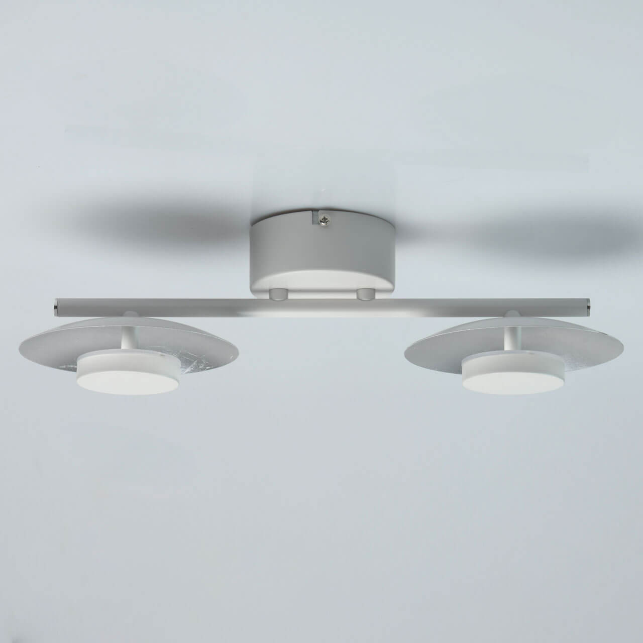 Настенно-потолочный светодиодный светильник De Markt Галатея 14 452024502