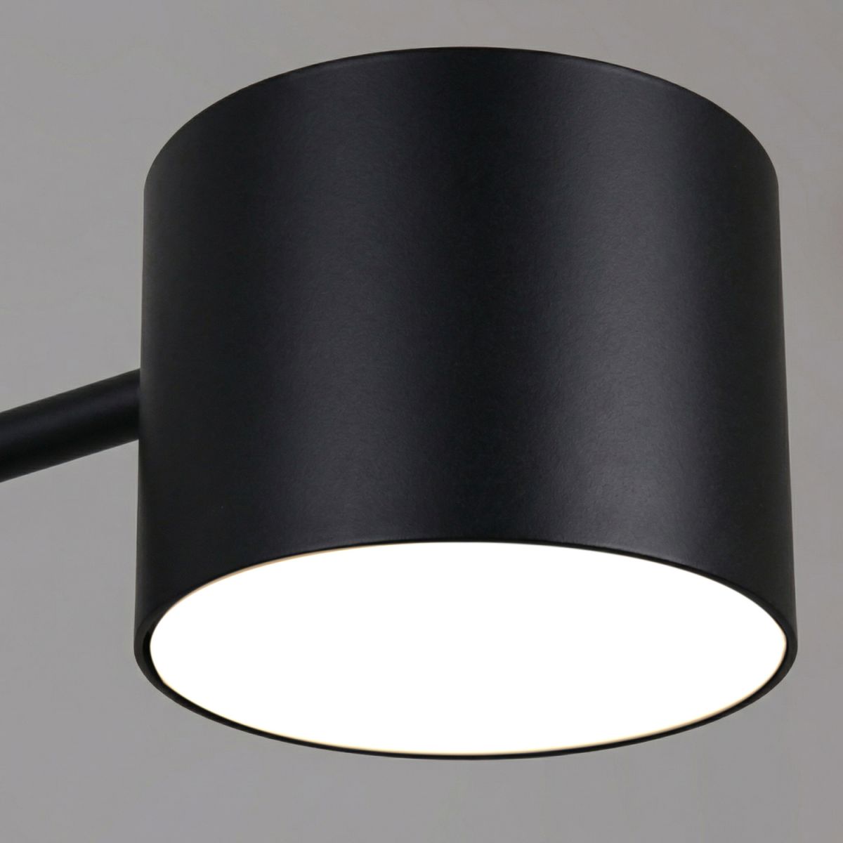 Люстра на штанге Reluce 47206-0.3-08BK