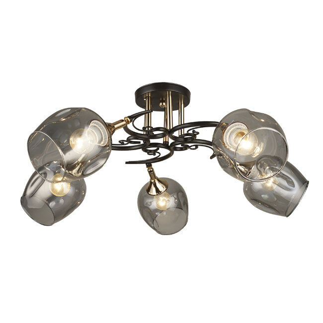 Потолочная люстра Wedo Light Alvi 66744.01.15.05