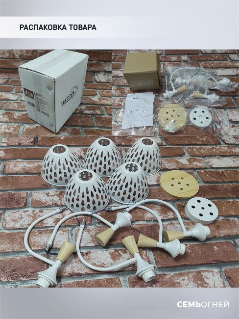 Потолочная люстра Wedo Light Gudi 66656.01.09.05