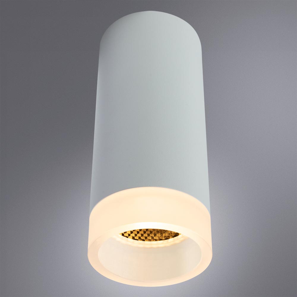Накладной светильник Arte Lamp Ogma A5556PL-1WH