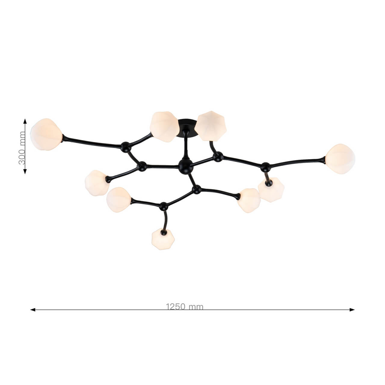 Потолочная люстра Favourite Suri 2688-9P