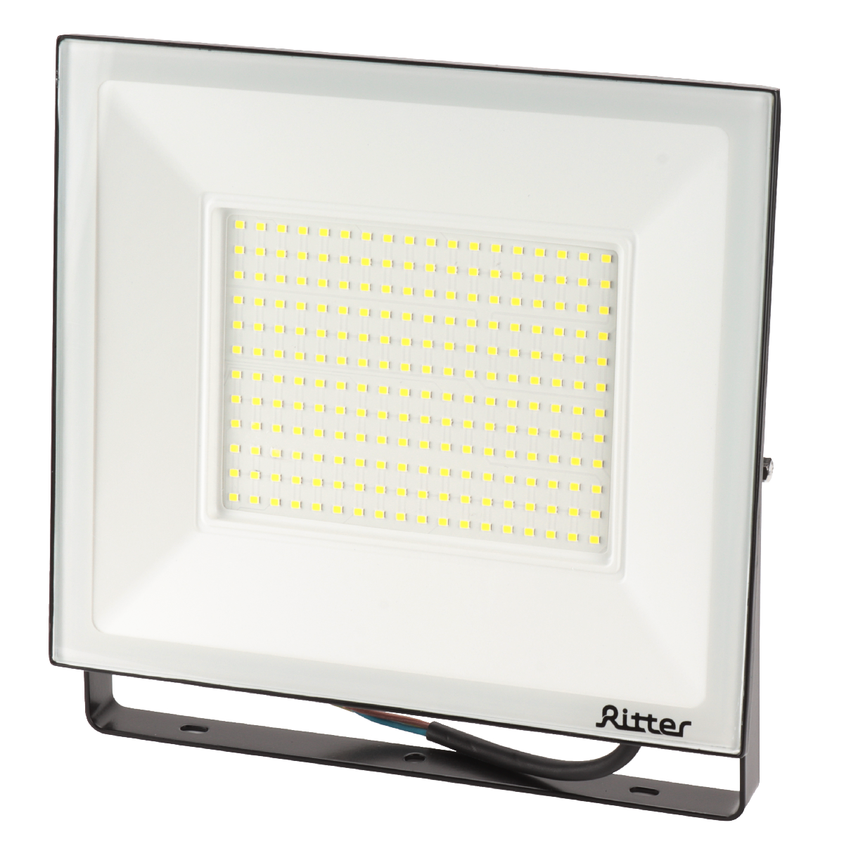 Прожектор Ritter Profi 53411 6