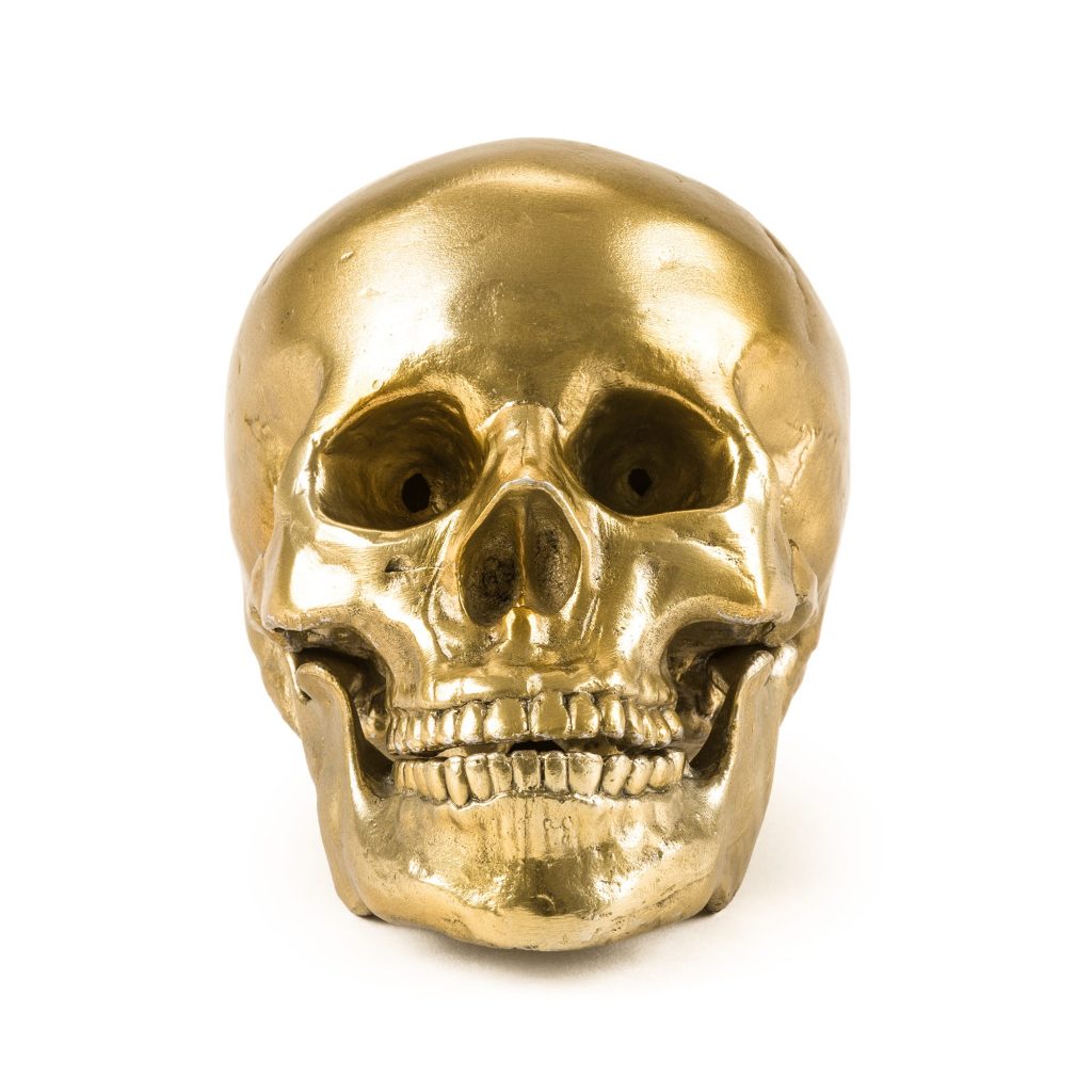 Статуэтка Human Skull Seletti Wunderkammer 10891