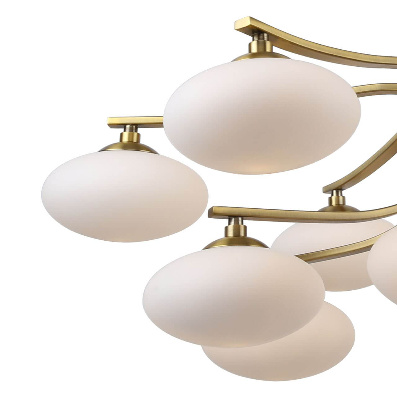 Подвесная люстра Favourite Pernetti 2513-13P