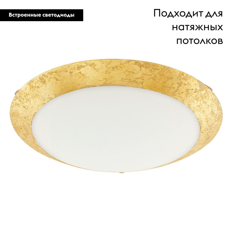 Настенно-потолочный светодиодный светильник Eglo Montenovo 98023