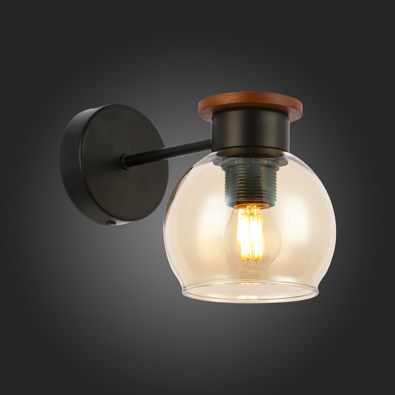 Настенный светильник EVOLUCE RASCO SLE108101-01