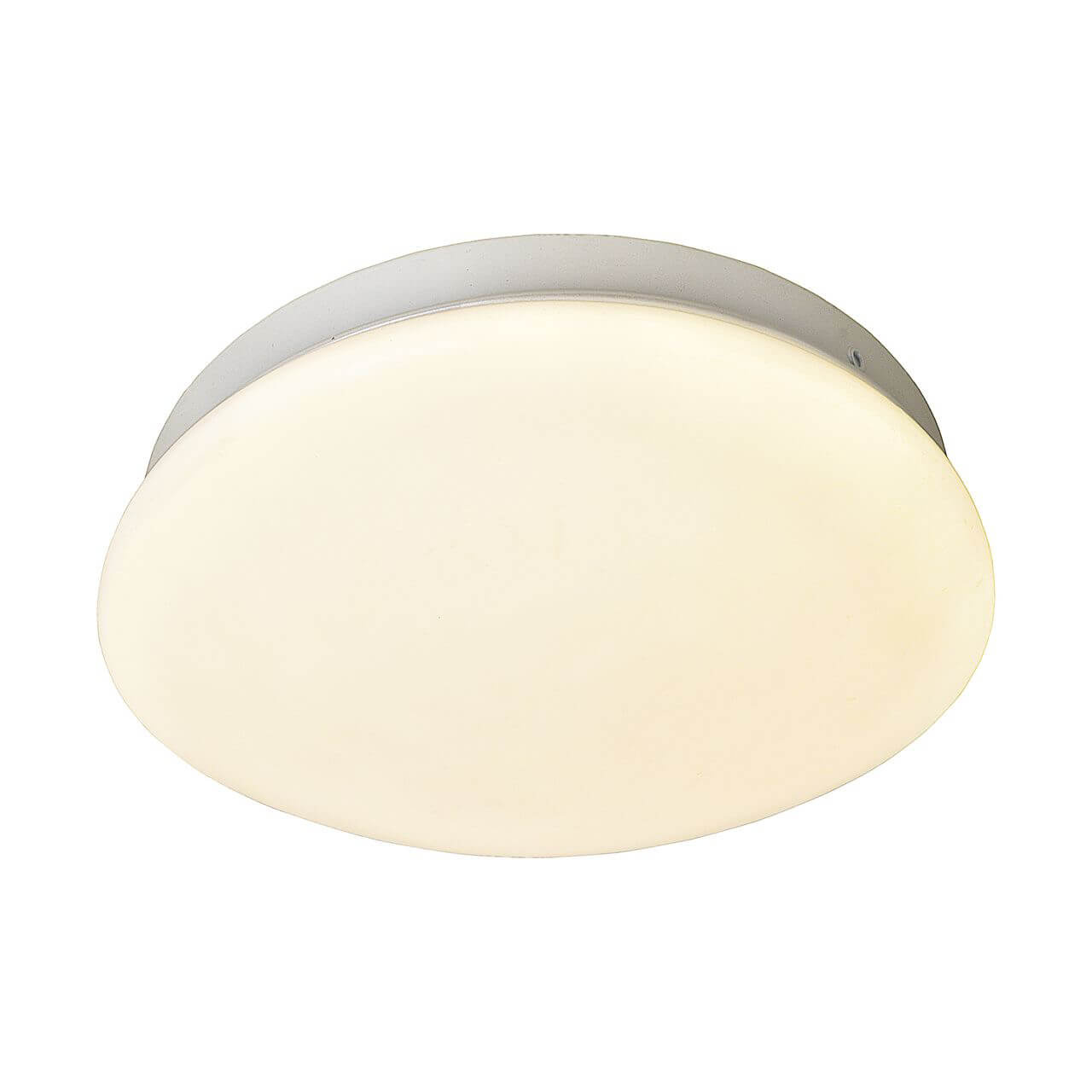 Потолочный светодиодный светильник F-Promo Ledante 2469-1C