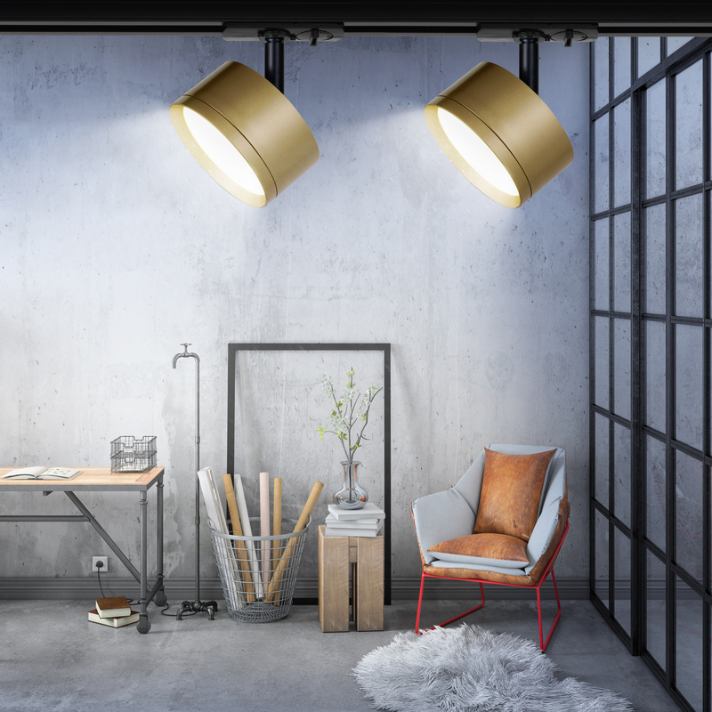 Трековый светильник Эра TR48 - GX53 MG Б0054160