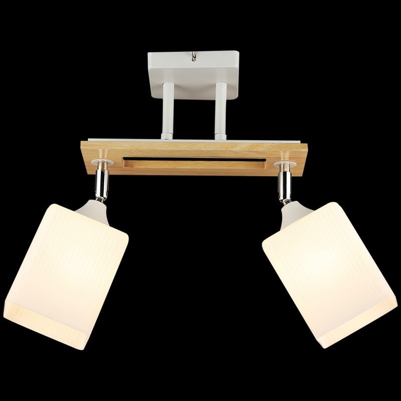 Спот Reluce 04717-0.3-02