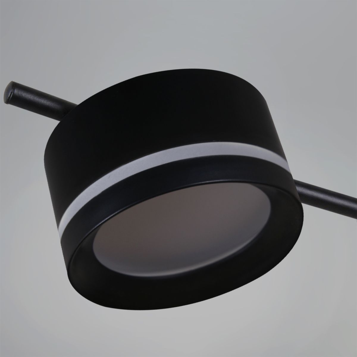 Потолочная люстра Reluce 10590-0.3-04 Black