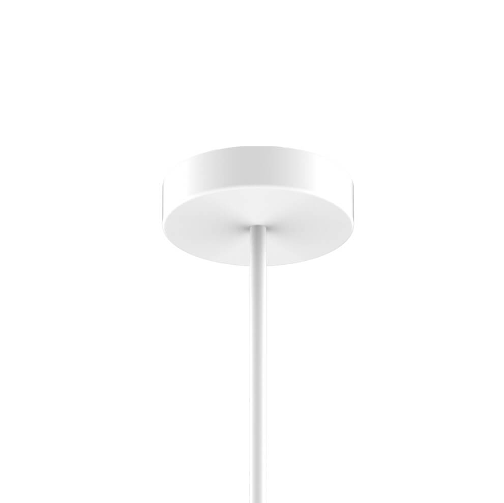 Подвесная светодиодная люстра Favourite Duplex 2325-12P