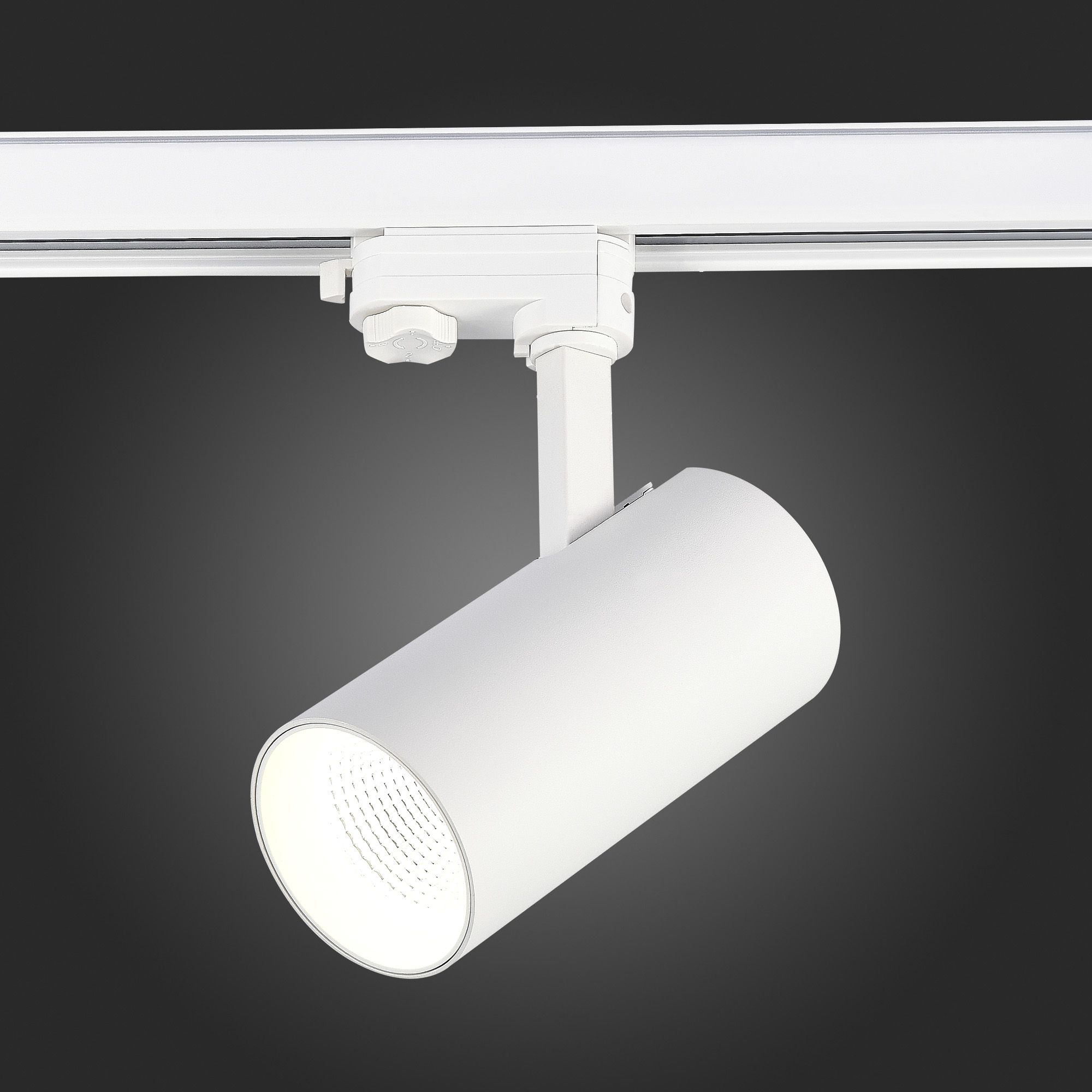 Трековый трехфазный светильник ST Luce ST661.546.30