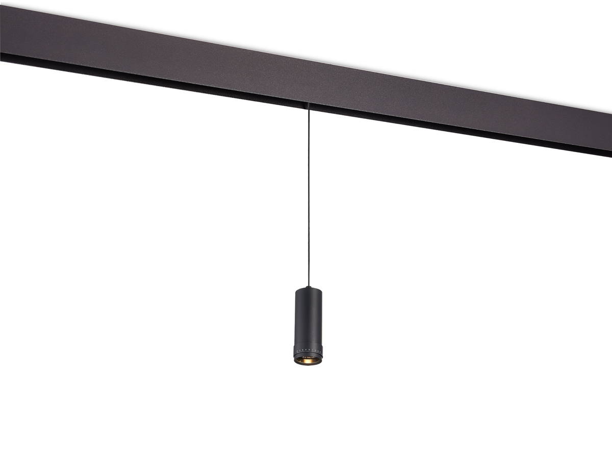 Трековый светильник Donolux Pratica DL20299WW10BS