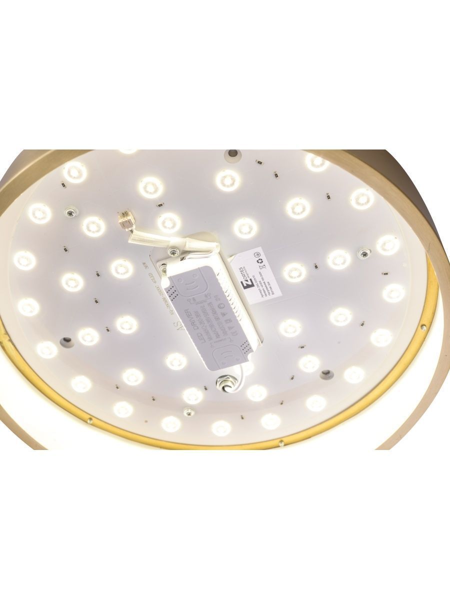 Потолочный светильник Zortes Monna ZRS.1209.10