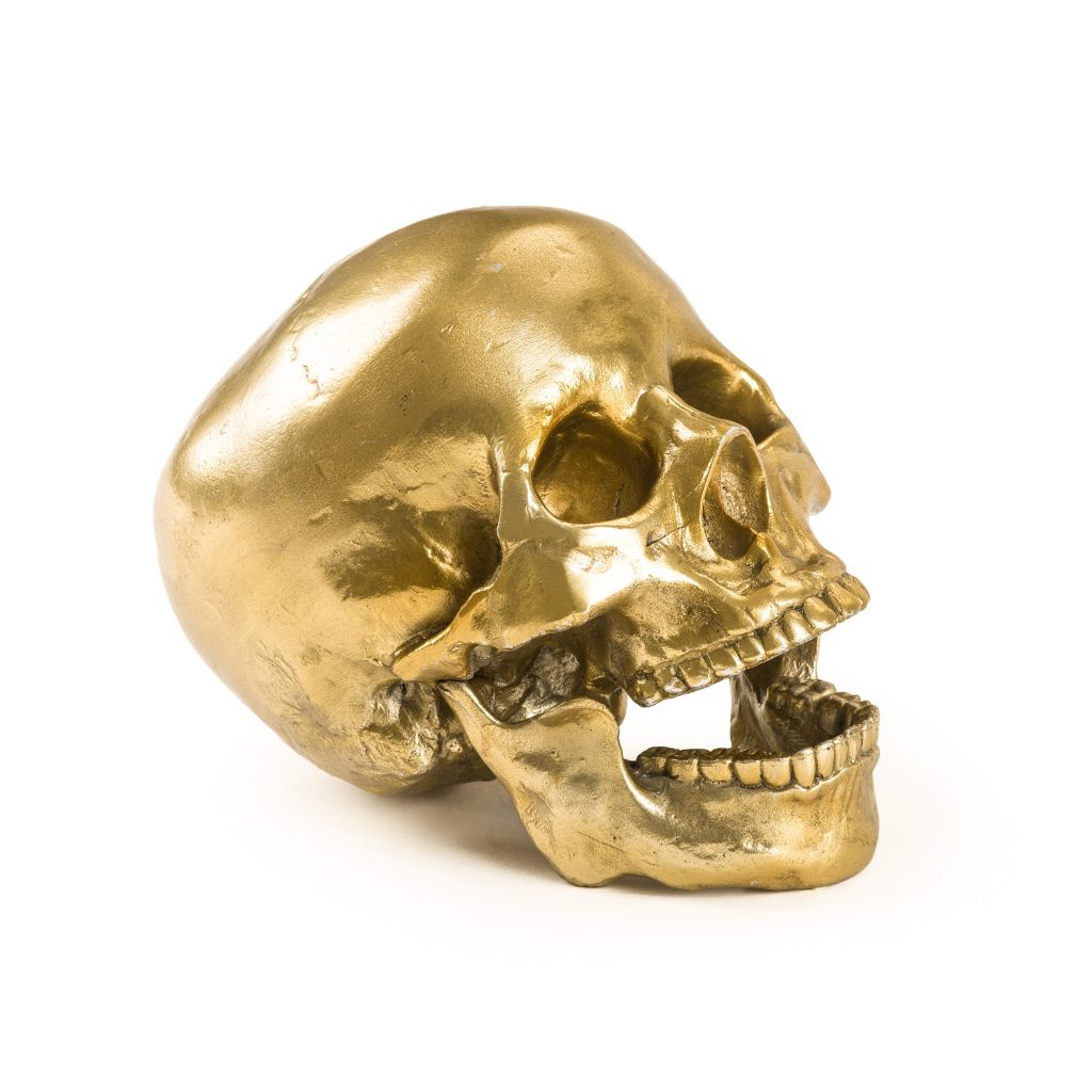 Статуэтка Human Skull Seletti Wunderkammer 10891