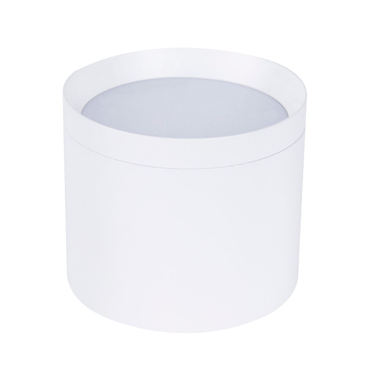 Накладной светильник Favourite Rote 4708-1C