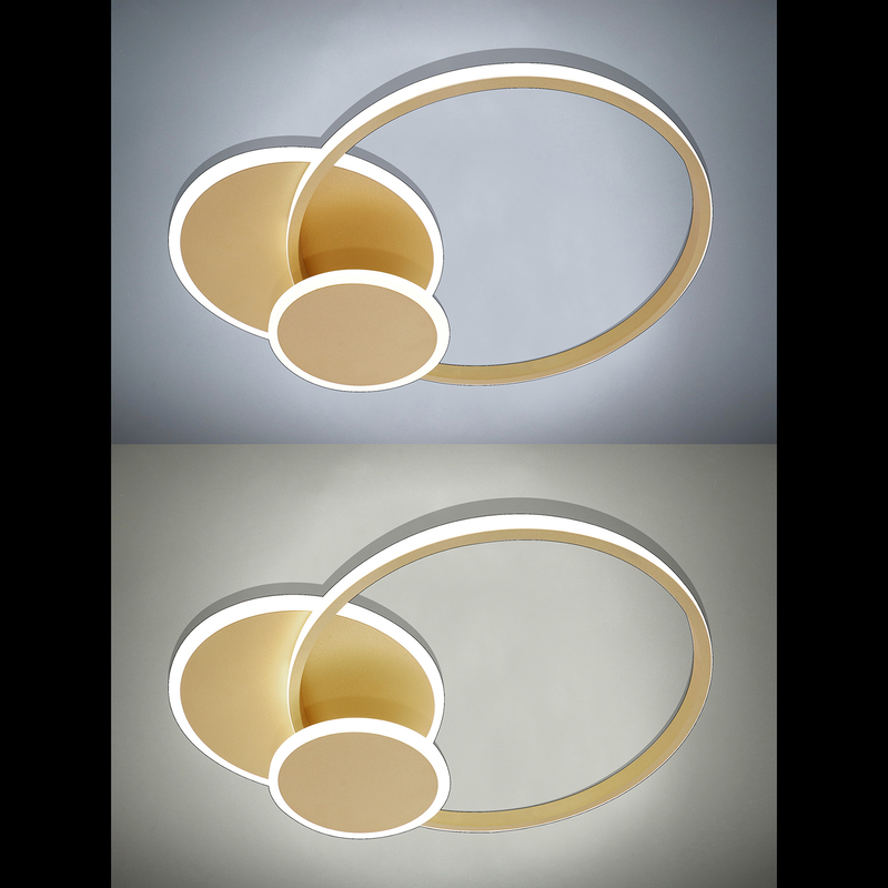 Потолочная люстра Natali Kovaltseva LED LAMPS 81306