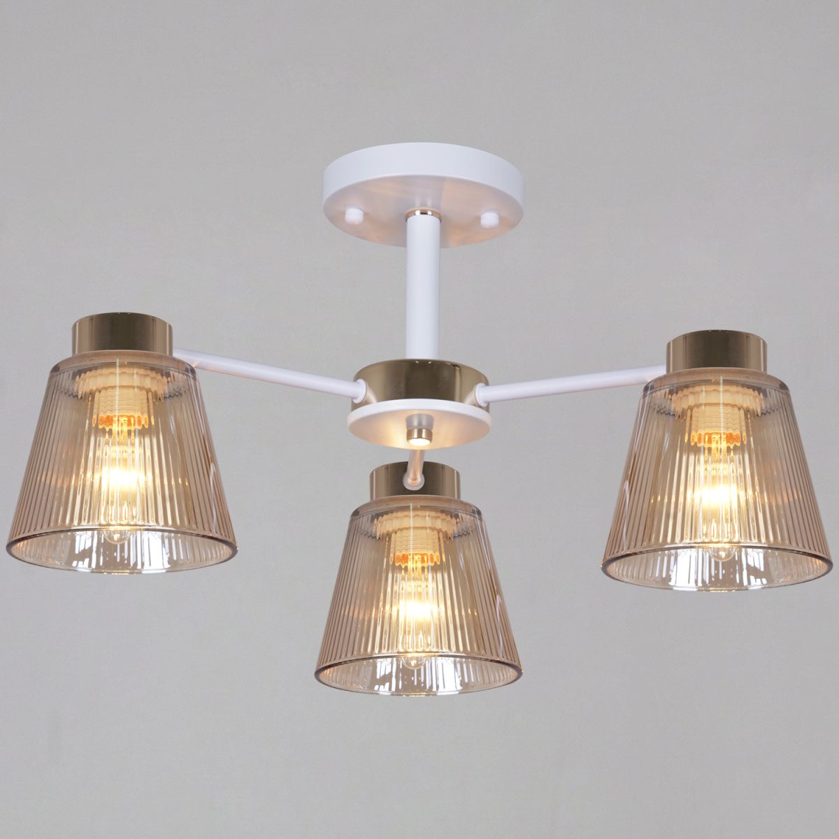 Потолочный светильник Reluce 20560-0.3-03 WH+FG