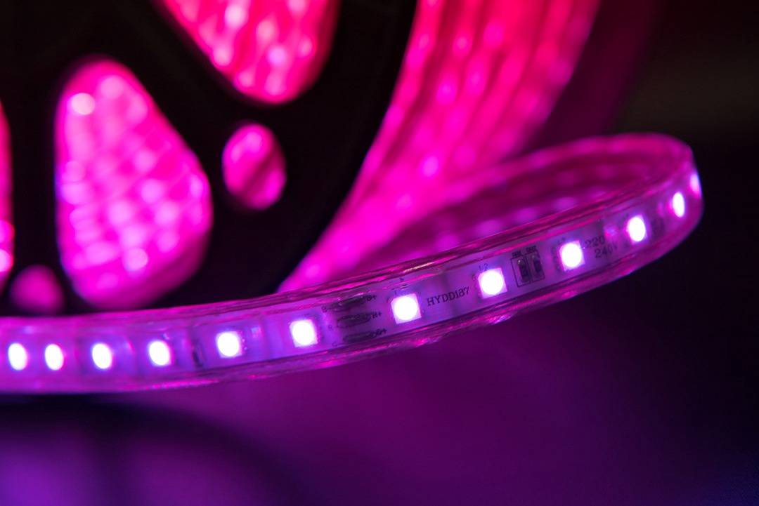 Светодиодная лента SWG LT560-RGB-50 000939