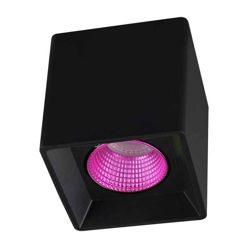 Накладной светильник Denkirs DK3080-BK+PI